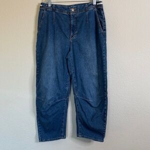 Anthropologie Pilcro Leni curved barrel jeans women’s 28 EUC